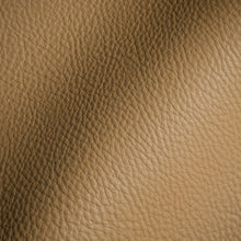 Load image into Gallery viewer, Glam Fabric Tut Canyon - Leather Upholstery Fabric