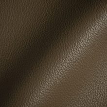 Load image into Gallery viewer, Glam Fabric Tut Riverstone - Leather Upholstery Fabric