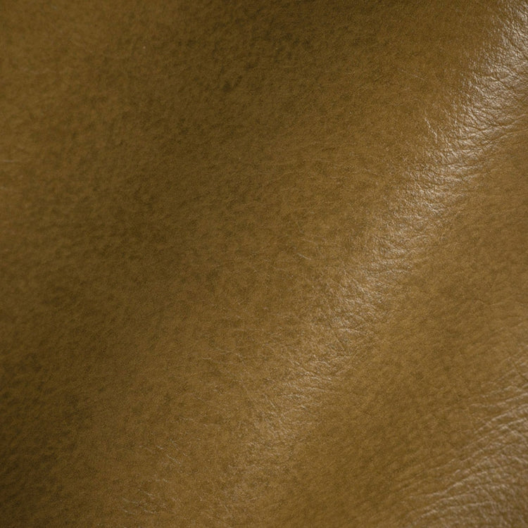 Glam Fabric Romantico Sage - Leather Upholstery Fabric