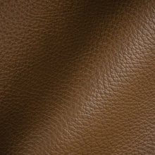 Load image into Gallery viewer, Glam Fabric Royce Merenda - Leather Upholstery Fabric