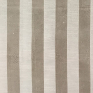 Glam Fabric Bande Ecru  - Velvet Upholstery Fabric