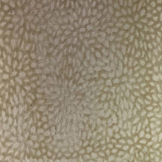 Glam Fabric Florecita Ivory  - Velvet Upholstery Fabric