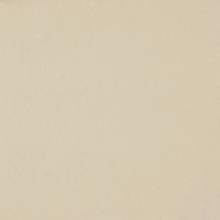 Glam Fabric George Eggshell - Velvet Upholstery Fabric