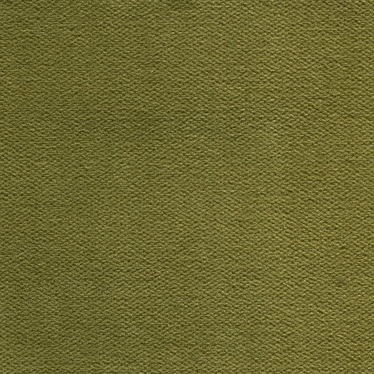 Glam Fabric George Apple - Velvet Upholstery Fabric