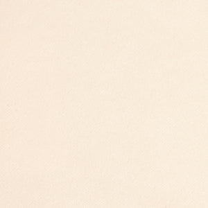 Glam Fabric Tyra Fleece - Velvet Upholstery Fabric