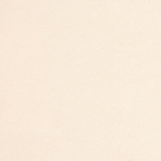 Glam Fabric Tyra Fleece - Velvet Upholstery Fabric