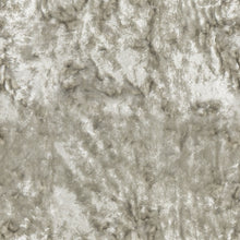 Load image into Gallery viewer, Glam Fabric Roosevelt Chinchilla - Velvet Upholstery Fabric